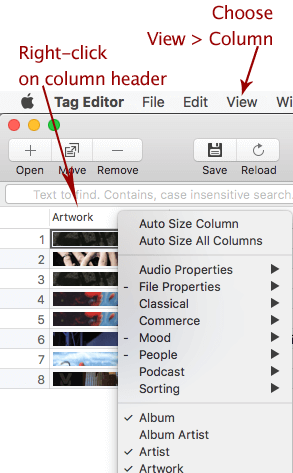Customization of columns layout in Amvidia Tag Editor for Mac
