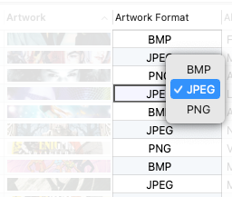 Editing Artwork Format in the Tag Editor for Mac