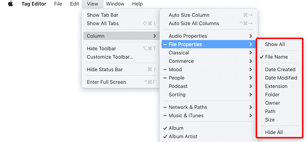 Tag Editor for Mac - File Properties
