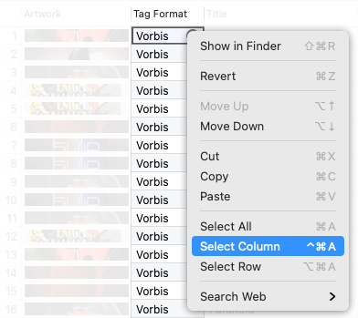 How to select Tag Format cells in the Tag Editor