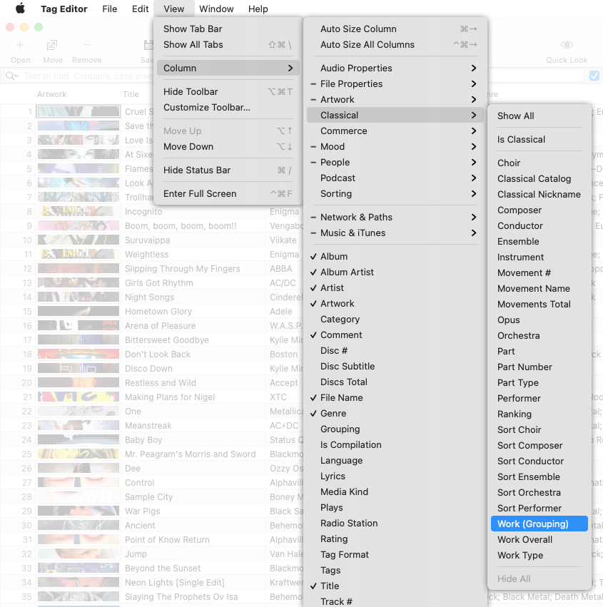 How to show the Work (Grouping) column in Tag Editor for Mac