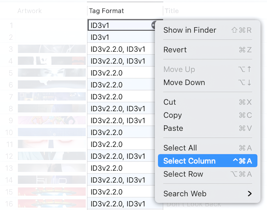 How to select Tag Format cells in the Tag Editor