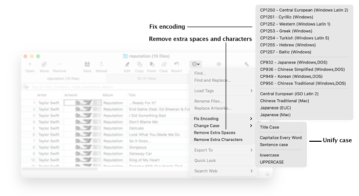 Cleaning Up and Improving Tags - Amvidia Tag Editor for Mac